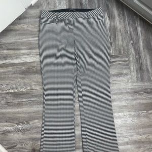 Express suit pants